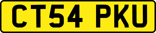 CT54PKU