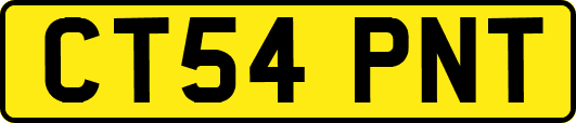 CT54PNT
