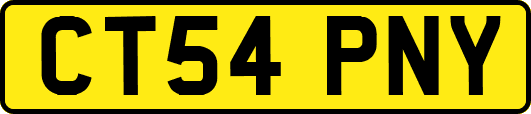 CT54PNY