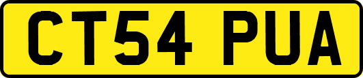 CT54PUA