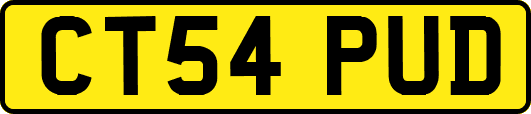 CT54PUD