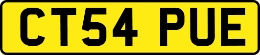 CT54PUE