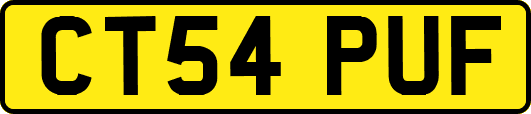 CT54PUF