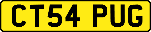 CT54PUG