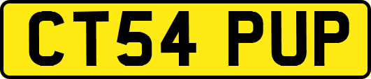 CT54PUP