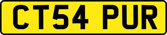 CT54PUR