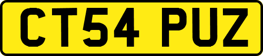 CT54PUZ
