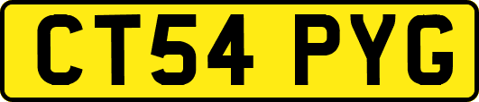 CT54PYG