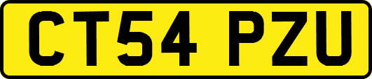 CT54PZU