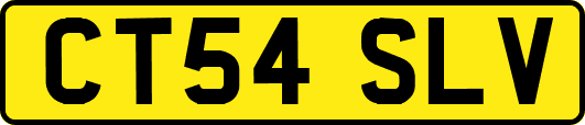 CT54SLV