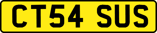 CT54SUS