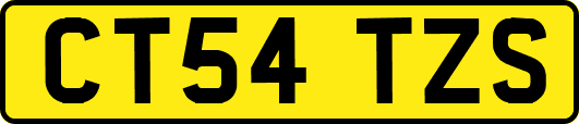 CT54TZS