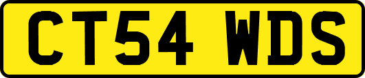 CT54WDS