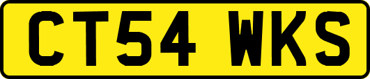 CT54WKS