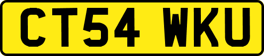 CT54WKU