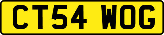 CT54WOG