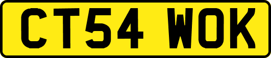 CT54WOK