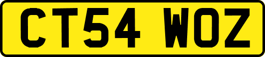 CT54WOZ