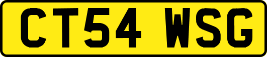 CT54WSG