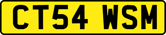 CT54WSM