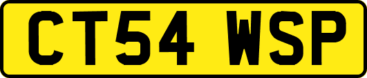 CT54WSP