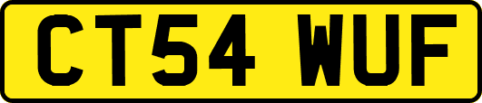 CT54WUF