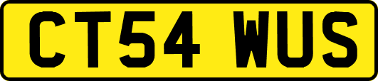 CT54WUS