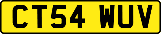 CT54WUV