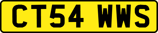 CT54WWS