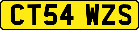 CT54WZS