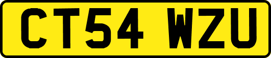 CT54WZU