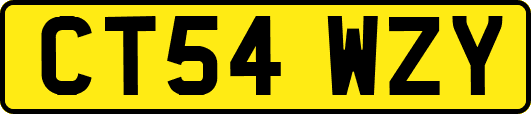 CT54WZY