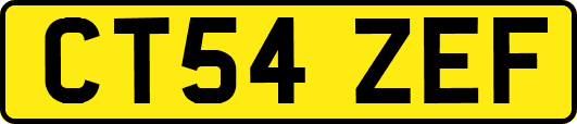 CT54ZEF