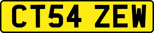 CT54ZEW
