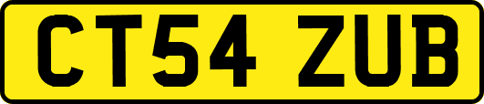 CT54ZUB