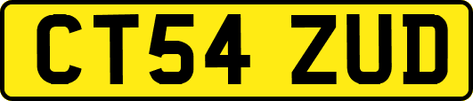CT54ZUD