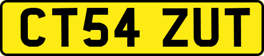 CT54ZUT