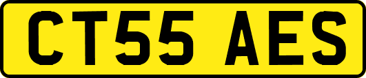 CT55AES