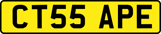 CT55APE