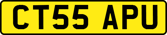 CT55APU