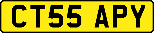 CT55APY