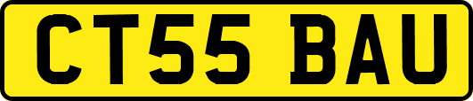 CT55BAU