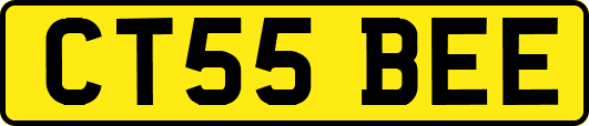 CT55BEE
