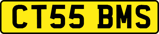 CT55BMS