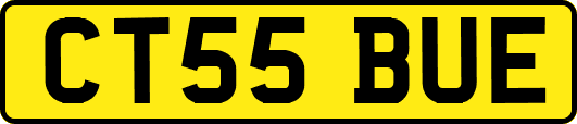 CT55BUE