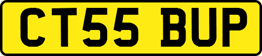 CT55BUP