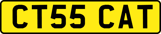 CT55CAT