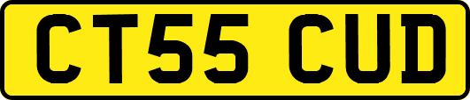 CT55CUD