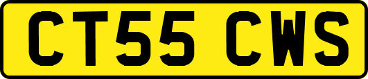 CT55CWS