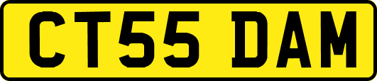 CT55DAM